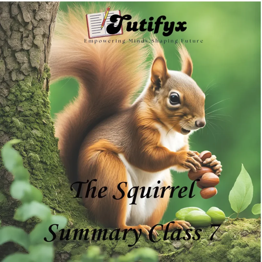 The Squirrel Summary Class 7 Poem 1 Honeycomb